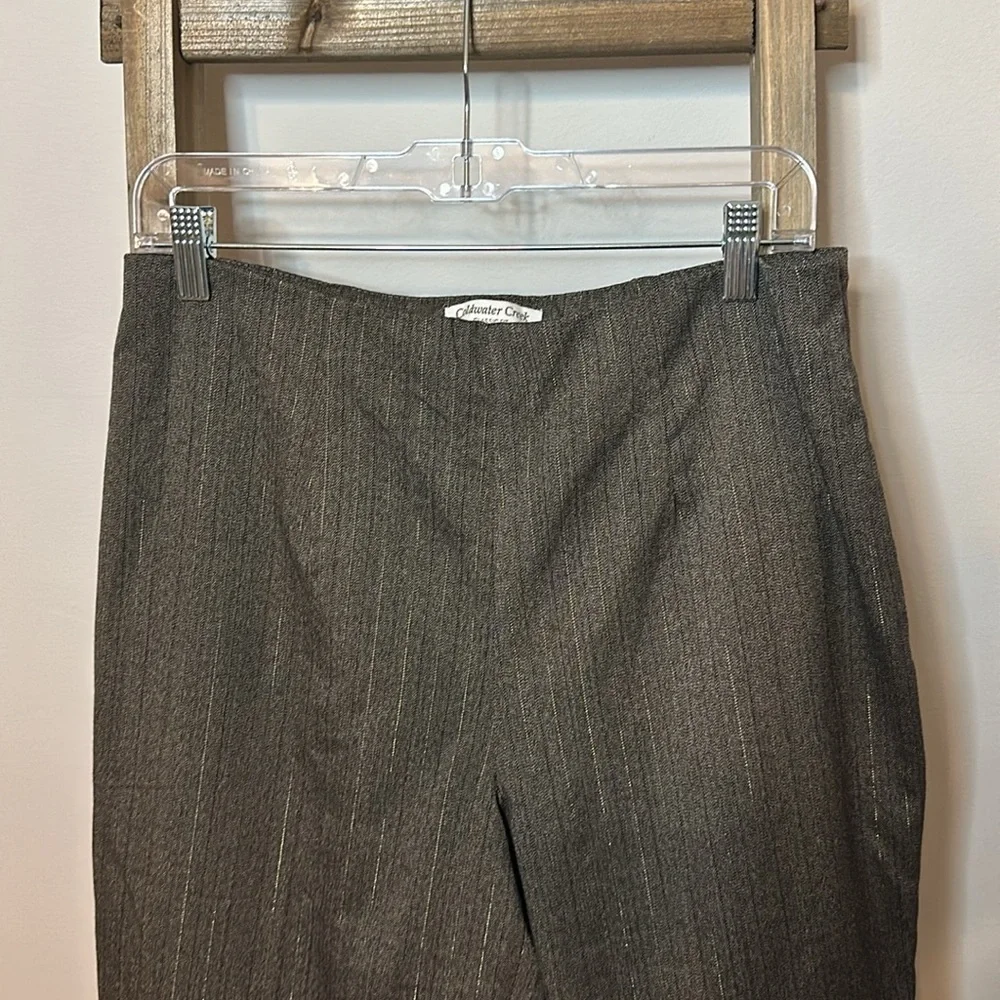 Coldwater Creek Classic Fit Fully Lined Dress Pants Size 10 Brown and Metallic